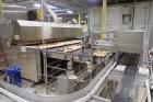 Babbco Impingement Tunnel Oven