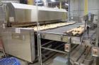 Babbco Impingement Tunnel Oven
