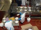 Comas Dual-lane Cheese Cake Line