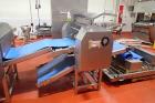 2007 Tromp Multiple Head Sheeting Line