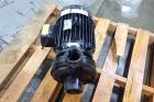 Dayton Centrifugal Cast Iron Pump