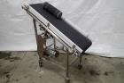 Ss Incline Belt Conveyor, 60 In. Long X 17.25 In. Wide