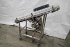 Ss Incline Belt Conveyor, 60 In. Long X 17.25 In. Wide