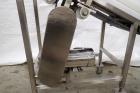 Ss Incline Belt Conveyor, 60 In. Long X 17.25 In. Wide