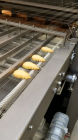 Aasted Complete Chocolate Enrobing System
