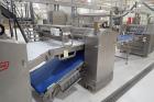 Moline Yeast Raised Donut Line From Mixing To Proofing