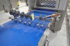 Moline Yeast Raised Donut Line From Mixing To Proofing