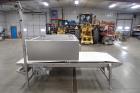 (2) Tromp Panning/laminating Conveyors
