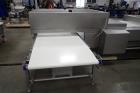 (2) Tromp Panning/laminating Conveyors