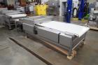 (2) Tromp Panning/laminating Conveyors