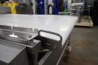 (2) Tromp Panning/laminating Conveyors