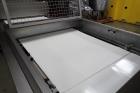 (2) Tromp Panning/laminating Conveyors