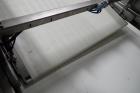 (2) Tromp Panning/laminating Conveyors