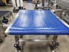 Canol Band Conveyor