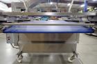 Canol Reciprocating Panning Conveyor