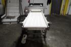 Safeline Metal Detector
