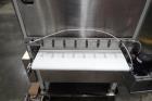 2005 Wp Gemini Tewimats Dough Divider