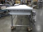 Ss Incline Conveyor