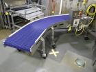 2019 Two Rivers 45 Degree Right Hand Conveyor