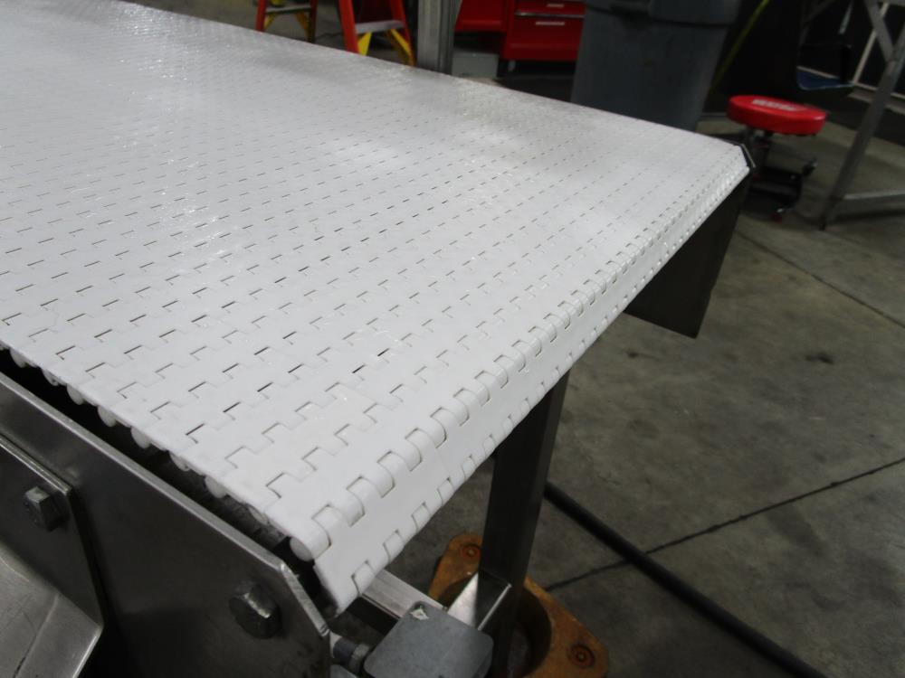 CPI SS Packoff Conveyor