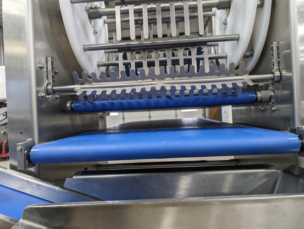 Quantum Conveyorized Topping Applicator with Reclaim Conveyor